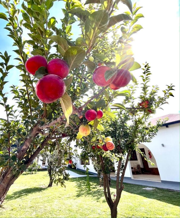 Bella Tilcara Boutique Hotel Dış mekan fotoğraf